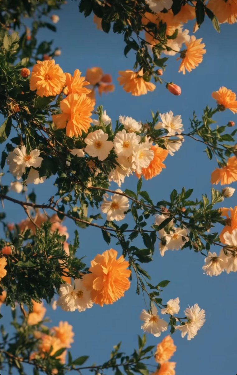 blue dream (@bluedreamvibes) on Twitter photo 