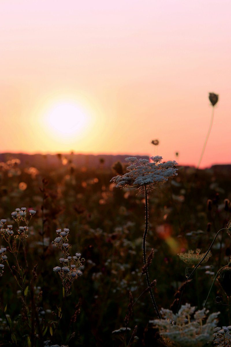 Stillness in disguise... 🤎