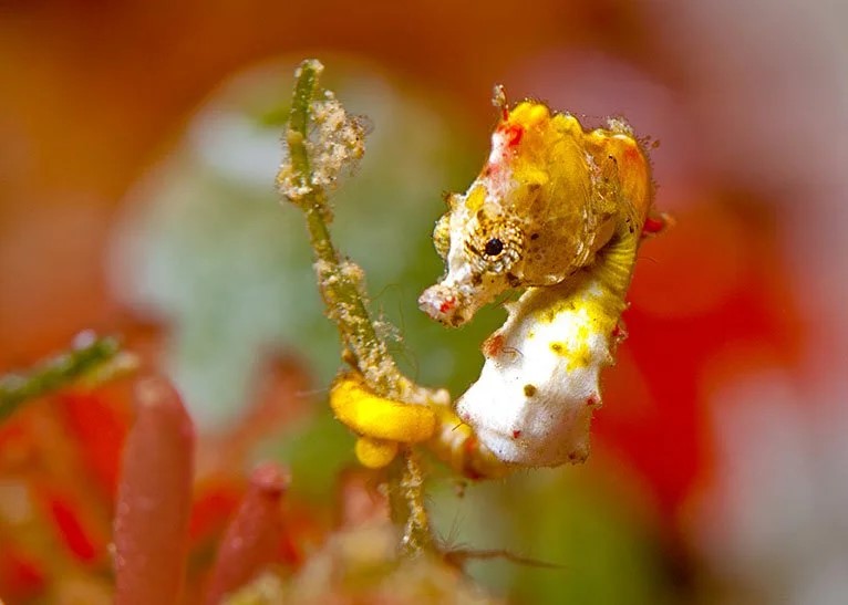Royal Birmingham Conservatoire Organ Department tweet media