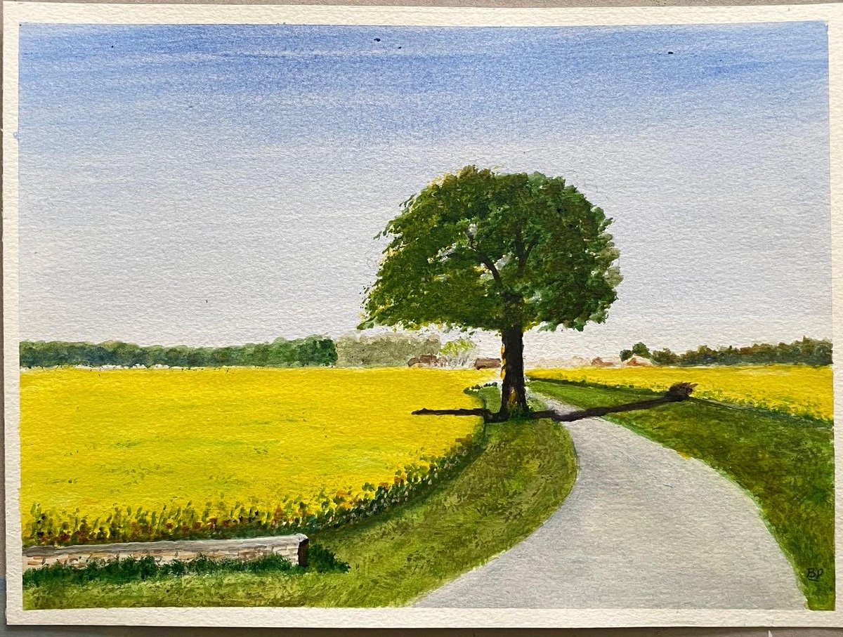 artbybrianstore.etsy.com/listing/433716…
Sale for McMillans Charity