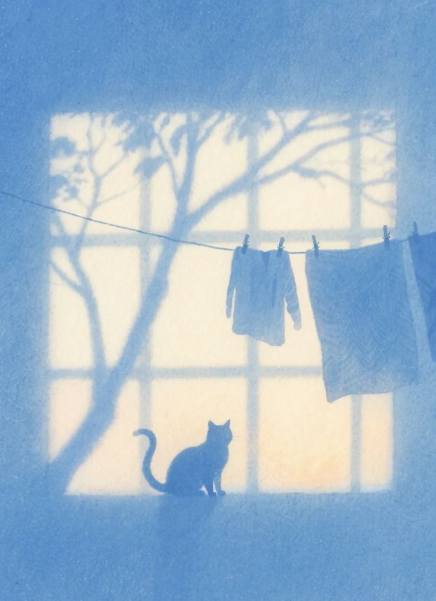 blue dream (@bluedreamvibes) on Twitter photo 