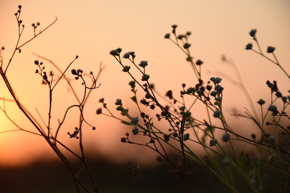 a-ha - The Sun Always Shine On TV (Live 2017)
youtu.be/n8Vrp2YujOQ?si…

#music  🎻