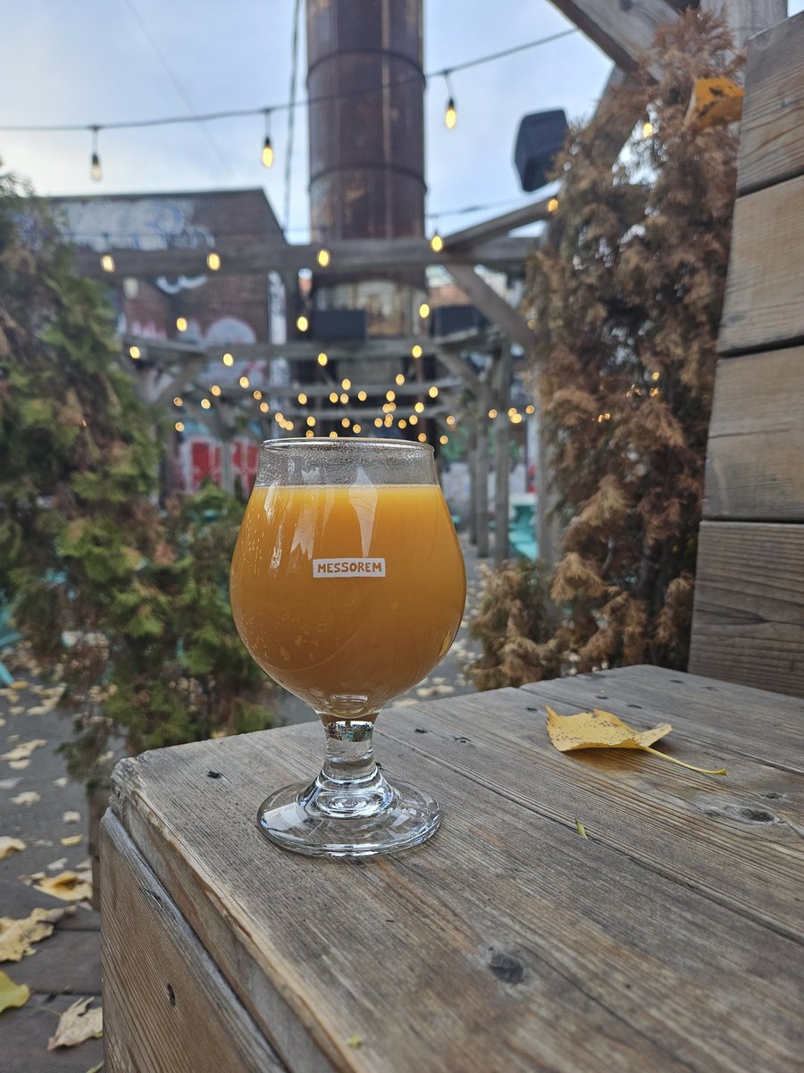 Latou10199359's tweet image. @The_real_XndrB #Messorem!