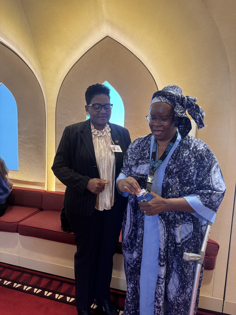 Today, I joined the <a href="/UN_Women/">UN Women</a> Executive Director, Sima Bahous, UN DSG <a href="/AminaJMohammeJ/">Amina J Mohammed</a>, Minister of Gender of #Namibia , during Commemoration of the 25th Anniversary of UN Security Council Resolution 1325, at the <a href="/UN/">United Nations</a> 

The theme, “The Power of Women Peace and Security: Advancing