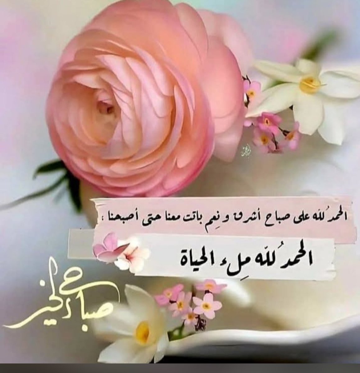 متابعينيي الأعزاء أعتذر منكم عن طول الغياب