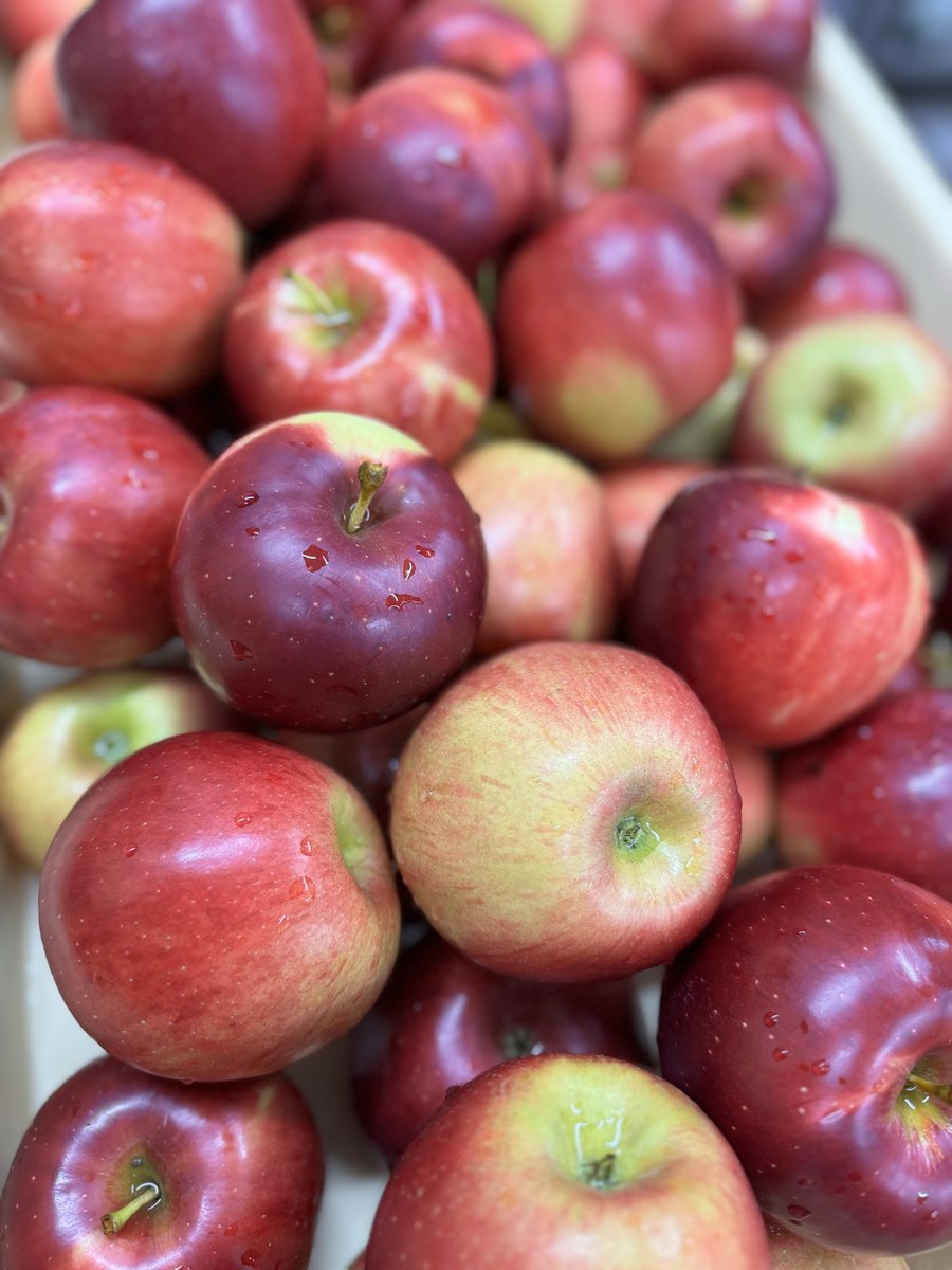 torantoroa33's tweet image. おはようございます
ウフフェス7日目
気づけばもう終盤。残すところ今日を入れて3日です
ブースにあるオーブンのクセも一昨日には完璧に掴み 昨日からさらに良い状態で焼き上げております
本日も皆様のお越しをお待ちしております