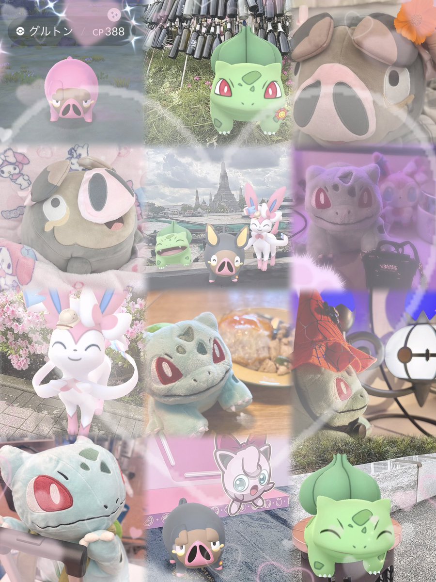 ぽの🧸ポケモンGO.⋆𝜗𝜚YouTuber tweet media