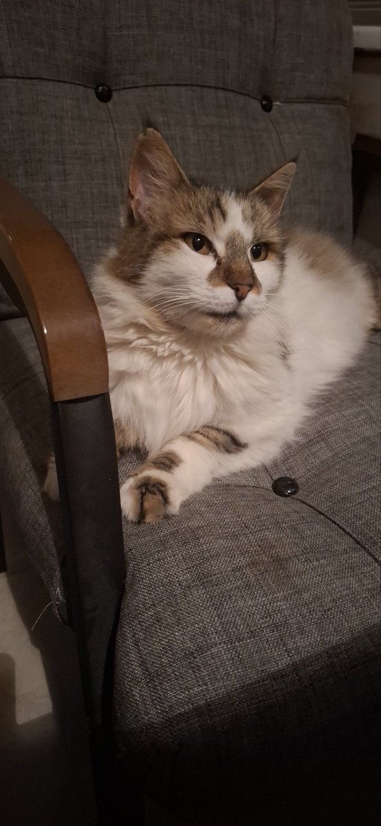 Tanrı Misafiri 🥰❤️