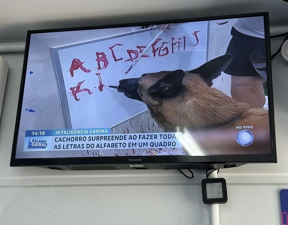 Tweet media one