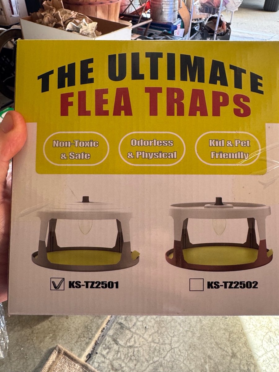 Fleas are the most heinous of all the pests.  If you have ants, roaches, spiders or yellow jackets you can at least see them.  Fleas are invisible and you don't know they are even there until you wake up with flea bites all over your body.