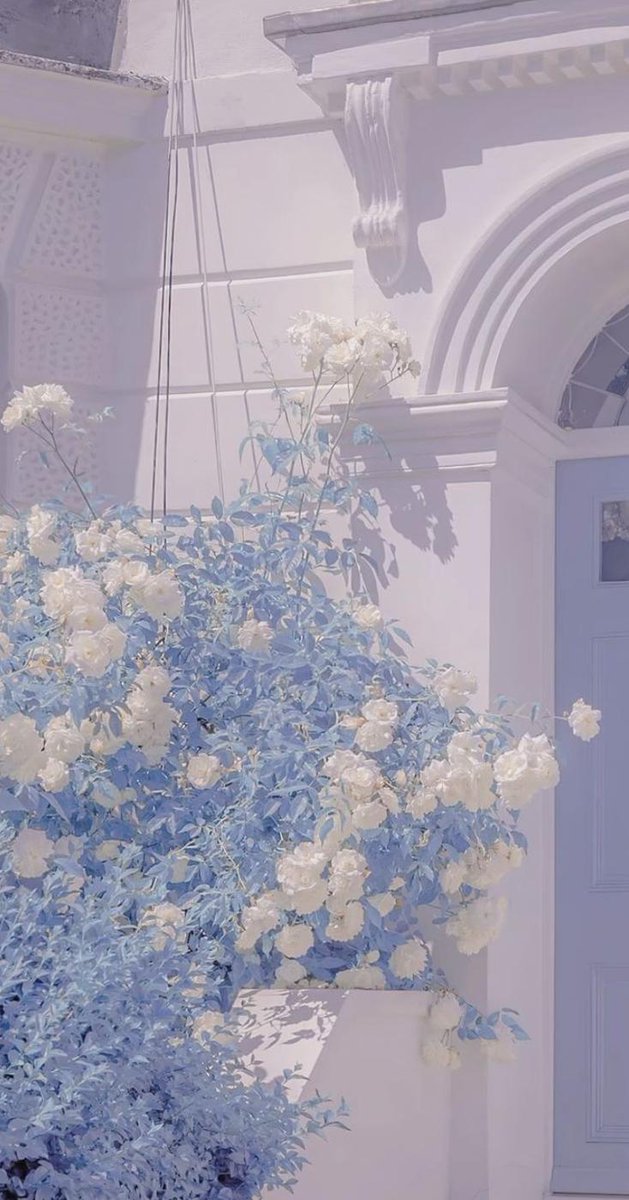 Jordan34856489's tweet image. 金曜日午前のメモ：雪／すっきり。休憩する→洗濯する。マイペースで。