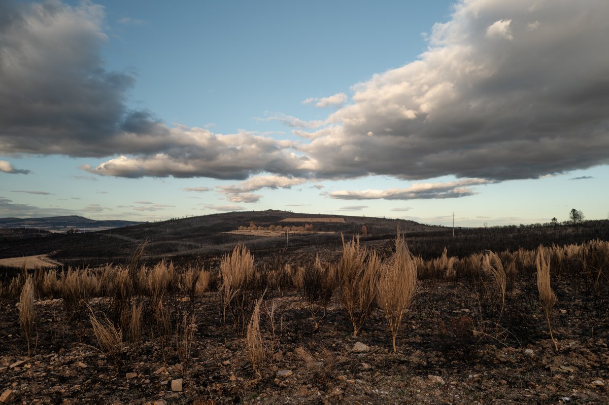 Emmanuel Nataf tweet media