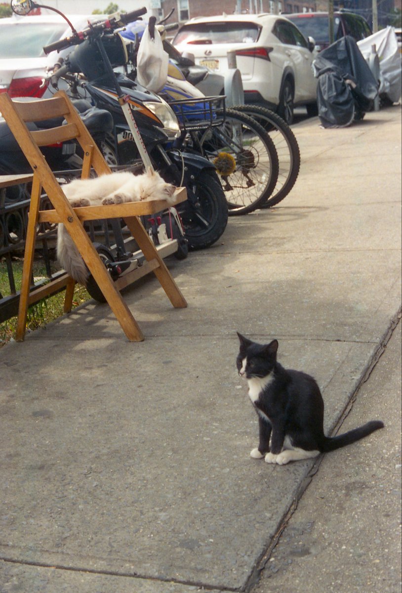 Karson Pilote (@pilotekarson) on Twitter photo 