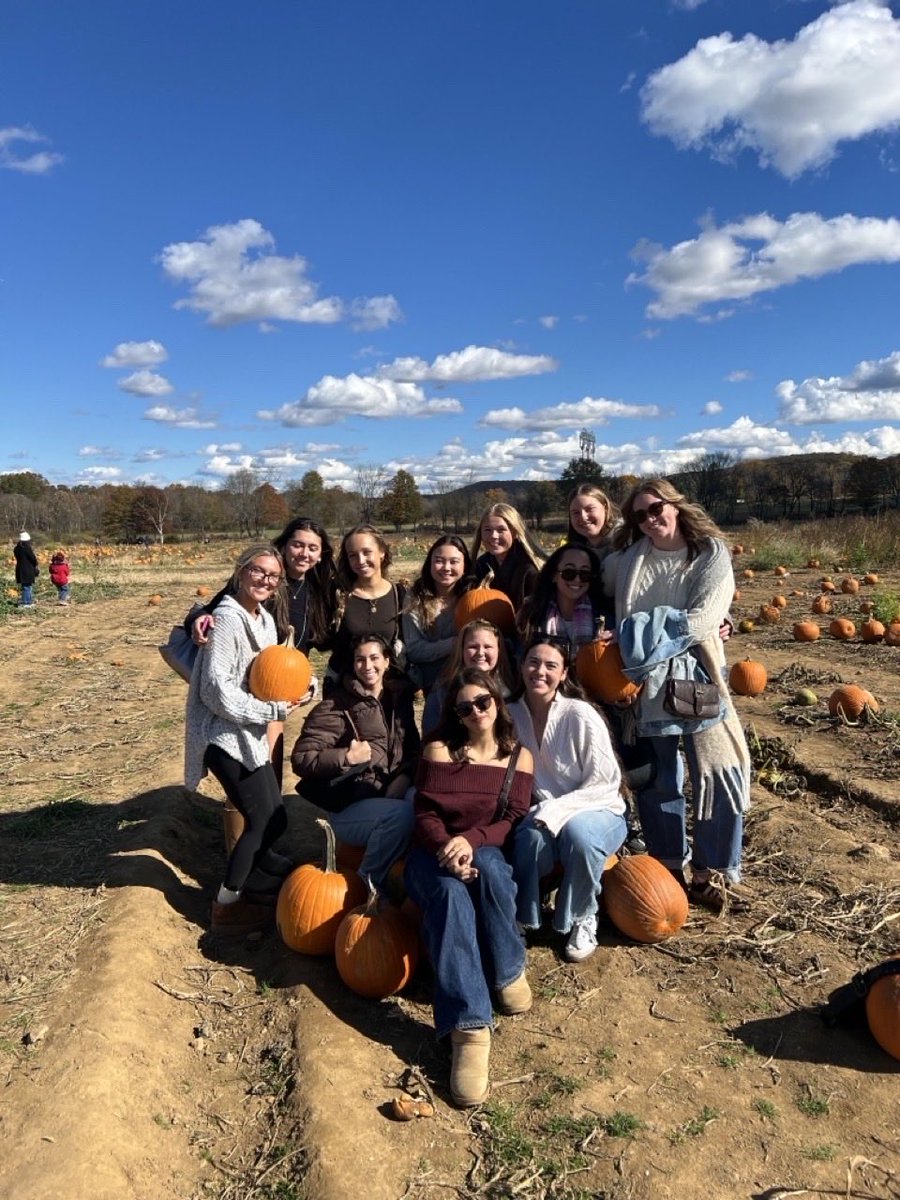 Nicole Bellini tweet media