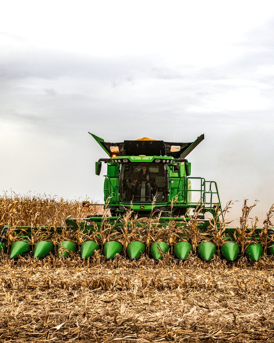 Fulline_Farm's tweet photo. https://t.co/rfxw2m9lqJ