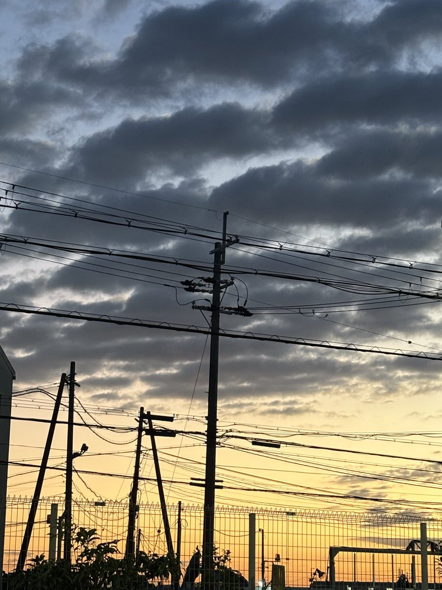 おはようございます。仕事開始！だいぶ暗くなってきましたね。今日は最低気温1桁でした、急に冷えすぎ😇
