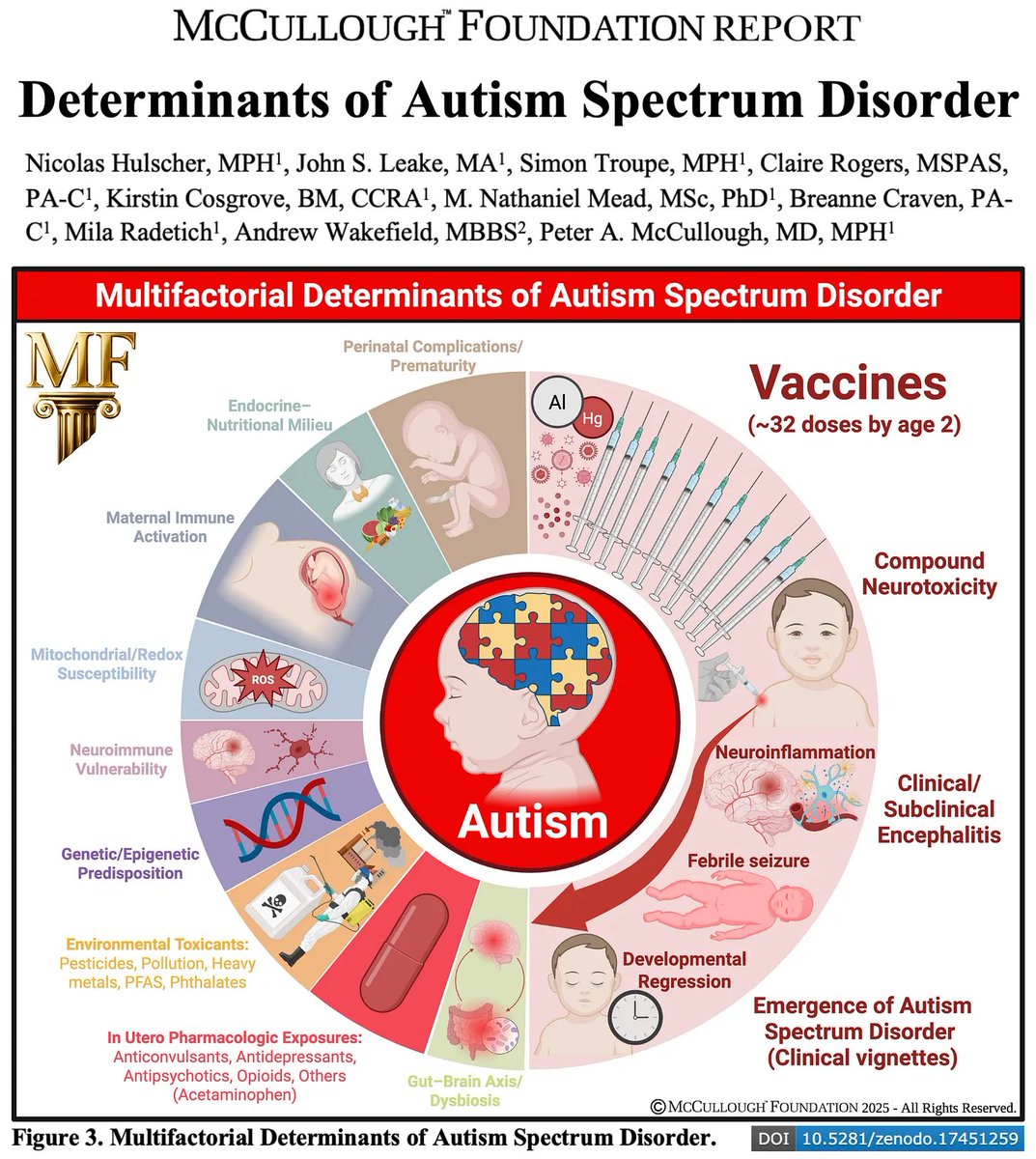 P_McCulloughMD's tweet image. BREAKING — Landmark Report Finds Vaccination Is the Dominant Risk Factor for Autism Spectrum Disorder
McCullough Foundation’s authoritative analysis of more than 300 studies provides the most comprehensive synthesis to date on the possible causes of autism. @SecKennedy…