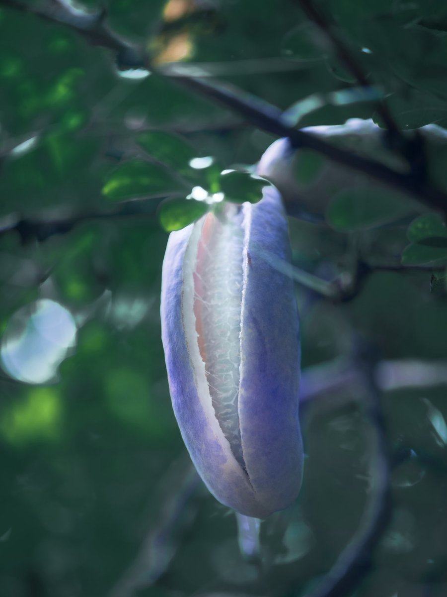 nico (@smiley20151) / Posts / X