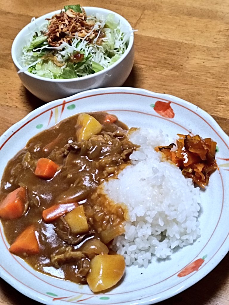 ✴︎ カレーライス様限定商品✴︎ ｶﾚーﾗｲｽ