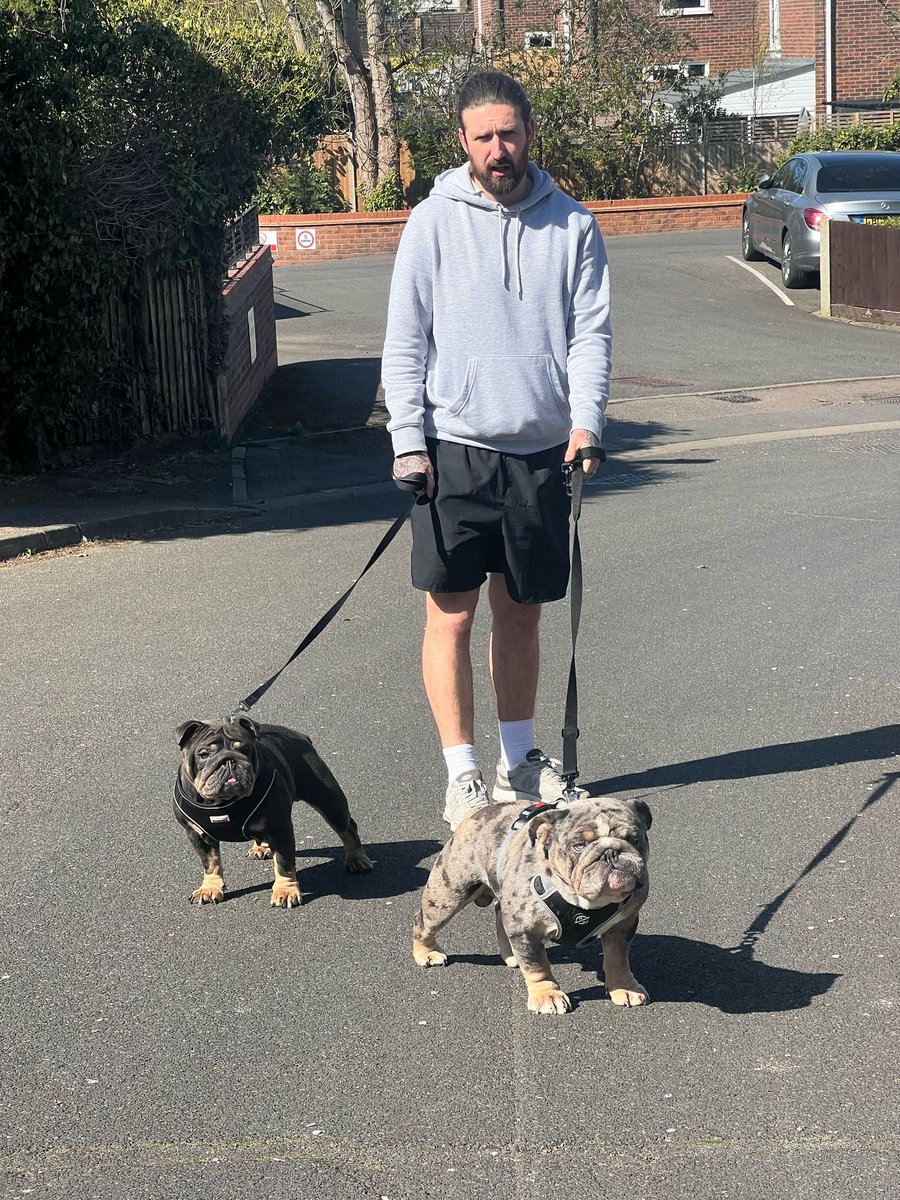 Lee Allinson tweet media