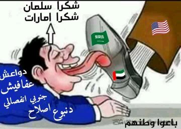 <a href="/a_n_alawlaqi/">علي ناصر العولقي</a>