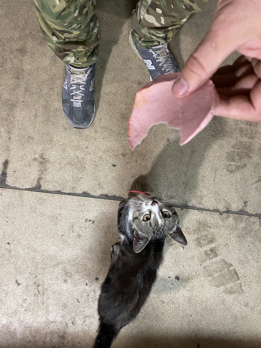 #аудіосекунда 

Питання є? Питань нема!
Питання є? Питань нема!