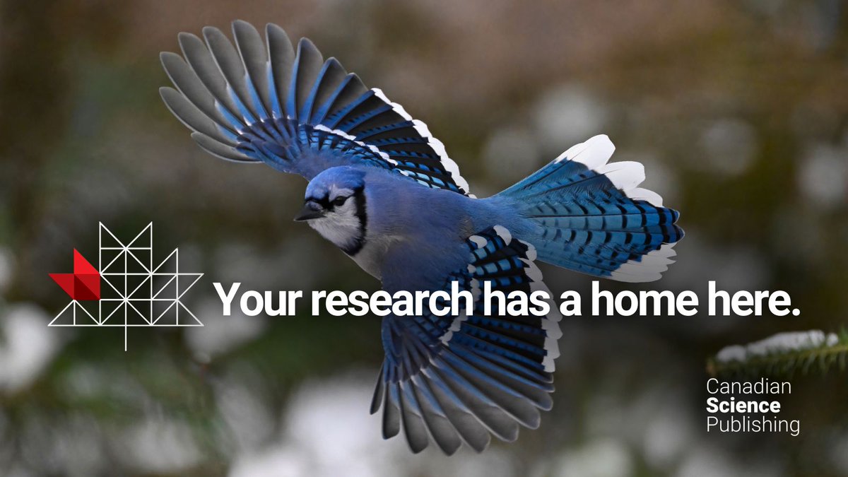 cdnsciencepub's tweet image. The @BlueJays are in the World Series and we couldn't resist joining the flock! 💙⚾
As we root for the home team, we’re also celebrating the science of their namesake. We’ve rounded up some of our favourite blue jay research from the archives.
Have a read!
➡️…