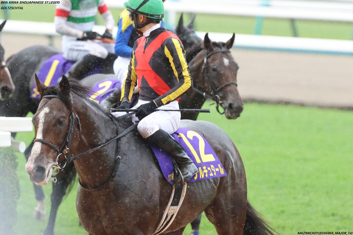 ナリタブライアン たてがみ Yahoo!オークション - ナリタブライアン 一本 たてがみ 鬣 社台