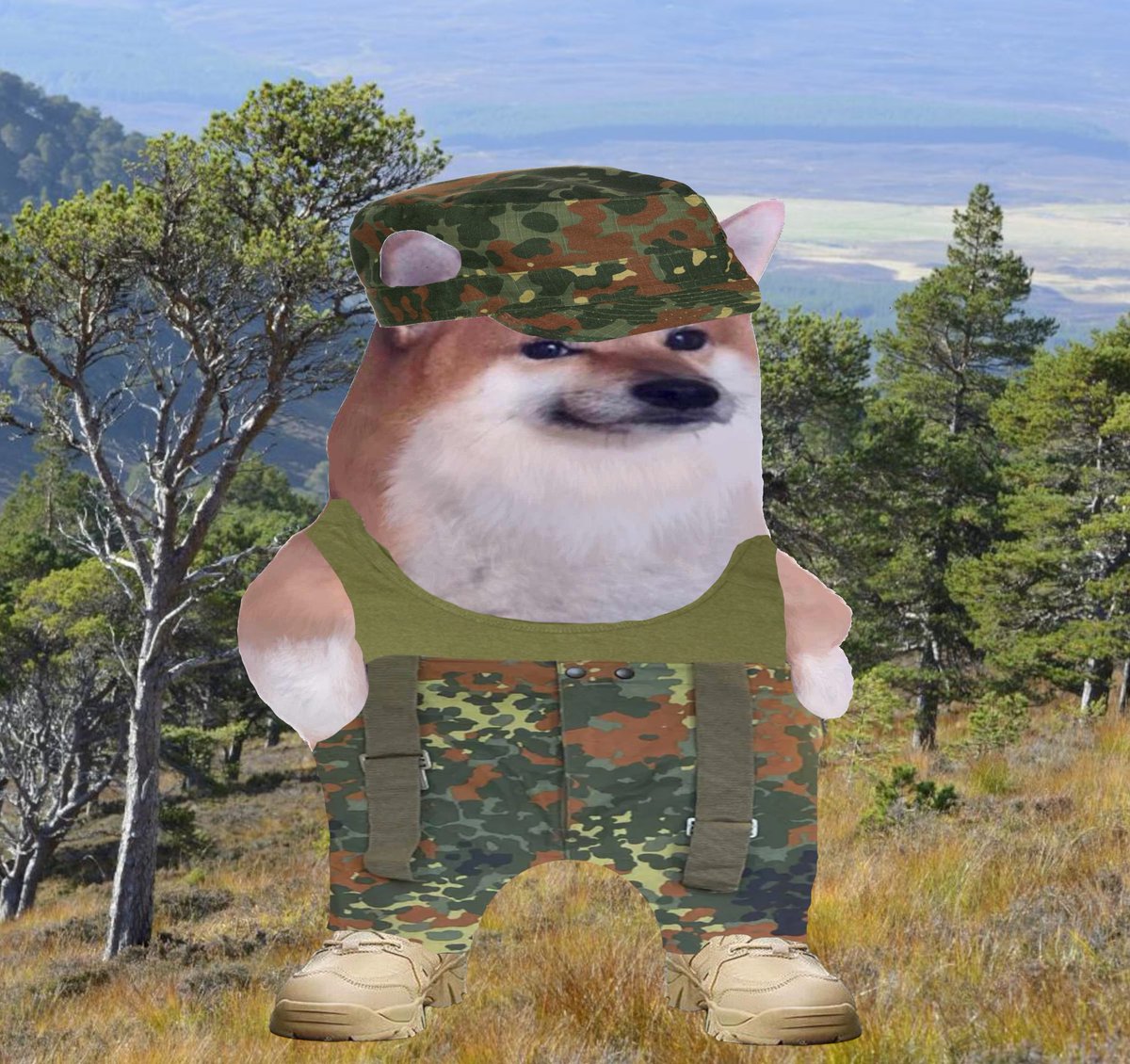 Flecktarn Fella tweet media