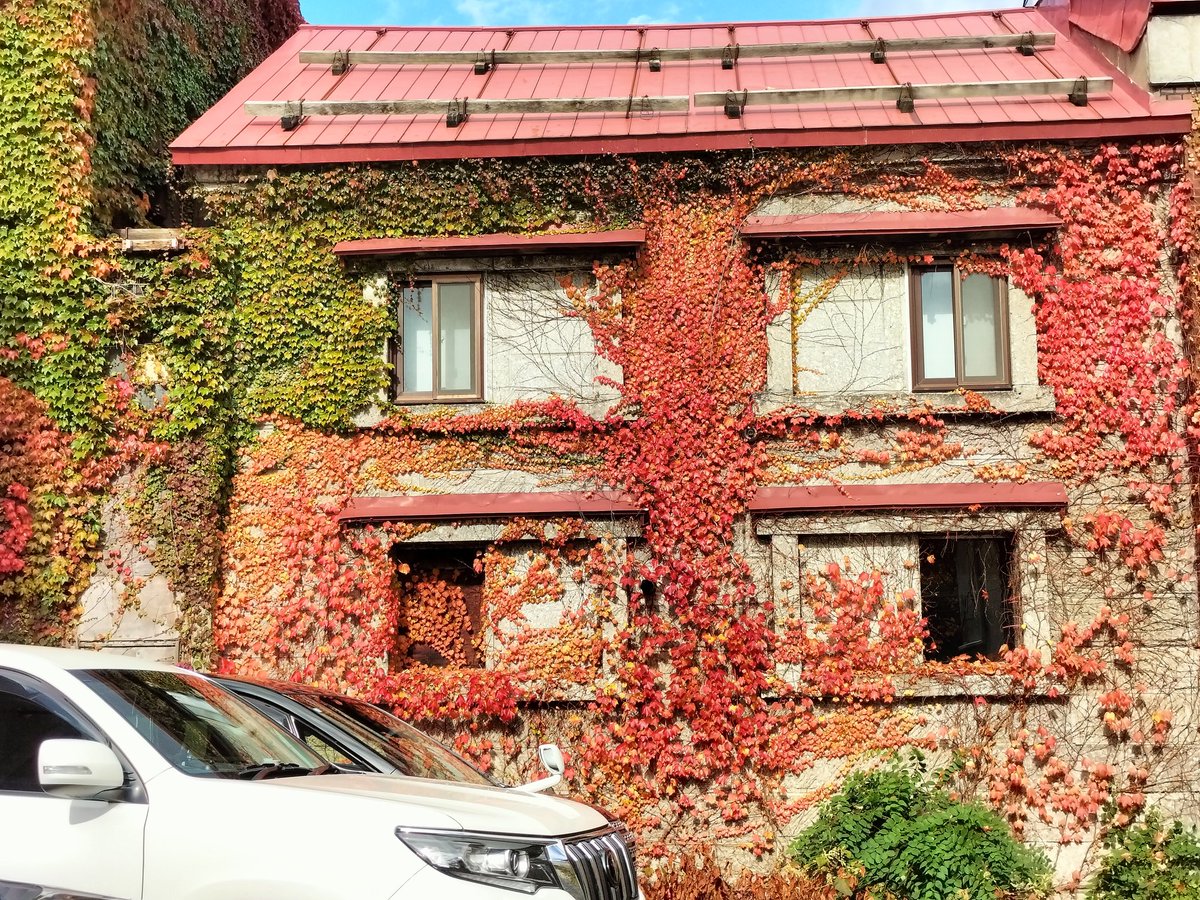 EtoHitonori's tweet image. ＃小樽よいとこ ＃小樽の風景
ラジオ深夜便でエディットピアフ
の特集聴きました😺泣けた🤡