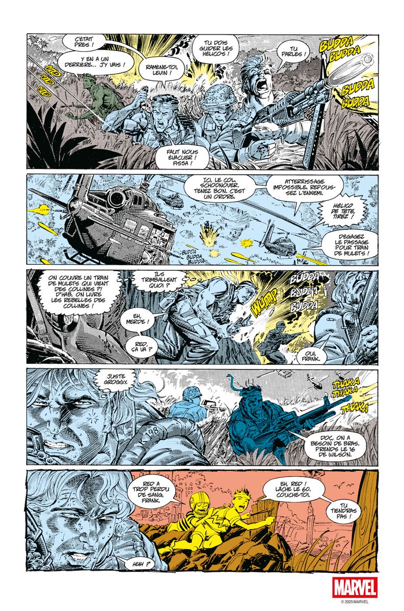 MARVEL DELUXE : PUNISHER WAR JOURNAL

Carl Potts, Jim Lee I 504 pages, 45,00 €

panini.fr/shp_fra_fr/pun…

Alors qu’il se recueille à Central Park où la pègre a assassiné sa famille, Frank Castle croise la route d’une épouse de mafieux en fuite avec son nourrisson. Cet événement
