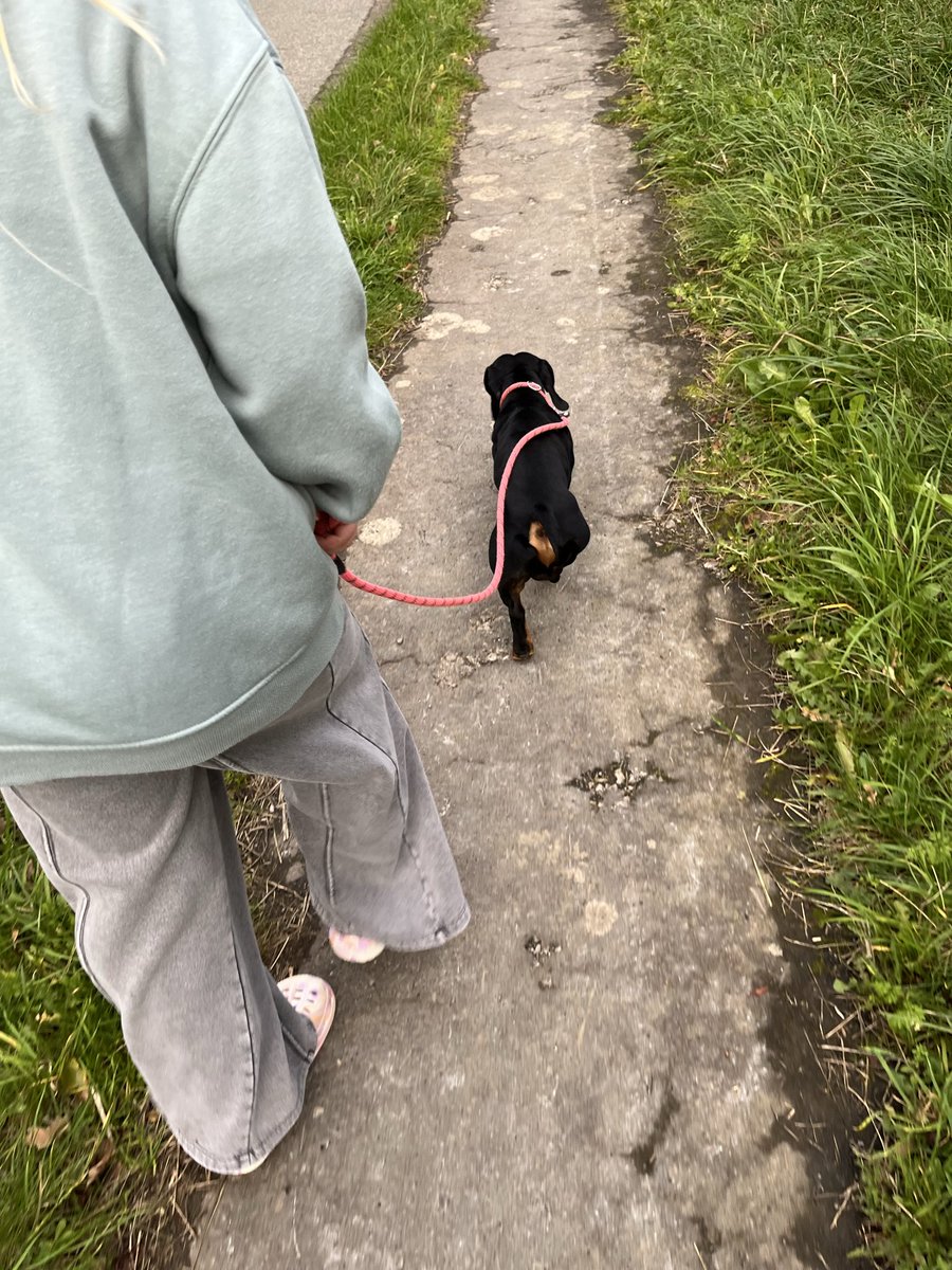 ionarees's tweet photo. Frankie and granddaughter today on our walk
#schoolholidays #Autumn #October27 🧡🎃🍂💚🐾🏴 https://t.co/lKudQCPDcq