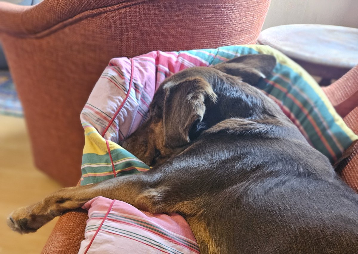 Müde bin ich, geh zur Ruh...