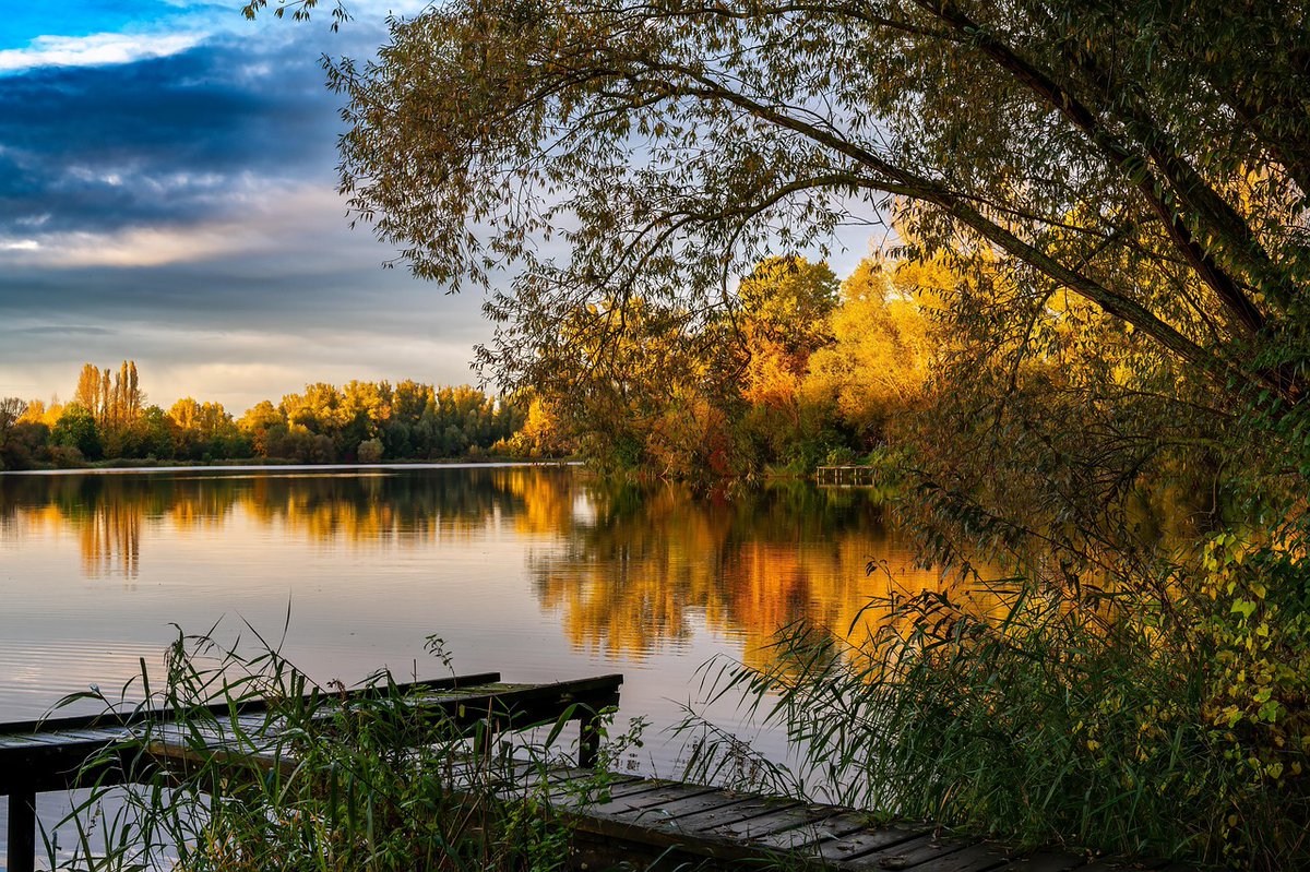 The whole earth is filled with awe at your wonders;
    where morning dawns, where evening fades,
    you call forth songs of joy.
—Psalm 65:8