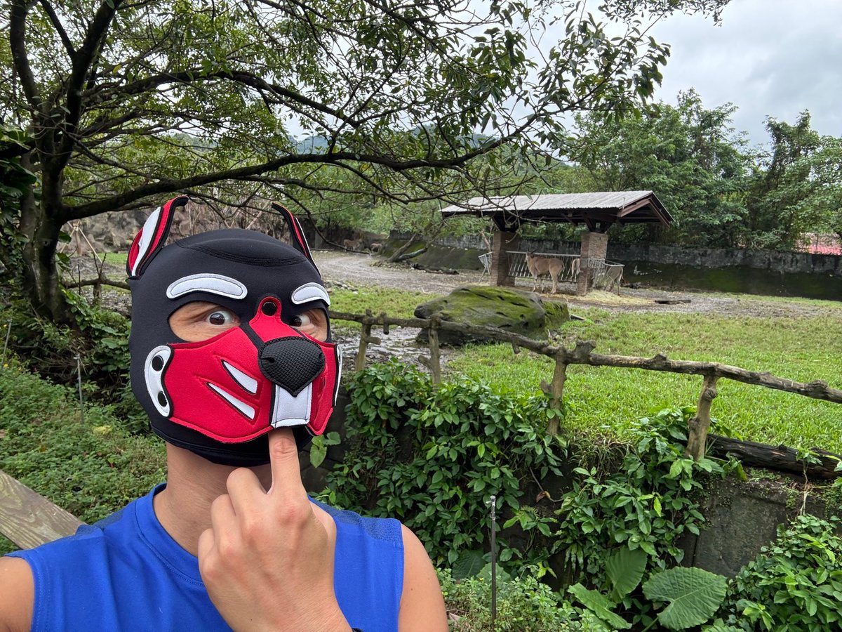 PupDarkys's tweet photo. OCT 2025
Taipei Zoo

#PupDarky
#ThaiPup
#ไทยดาร์คกี้
#MilkTeaDarky https://t.co/ueMALfWrXz