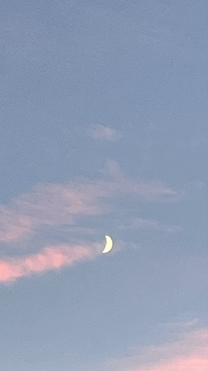 Cammino verso casa nel cielo azzurro e rosa, la mezza luna mi segue discreta, come un pensiero che sa già la fine.