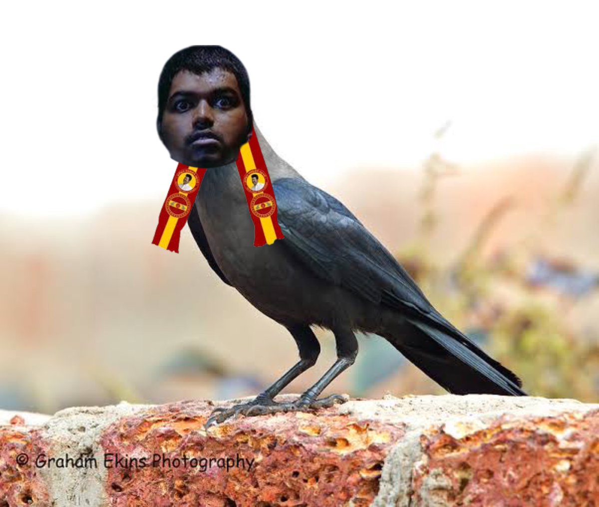 MouliRetro36830's tweet image. Zero accountability 48 murders, but blamimg dmk guys ah