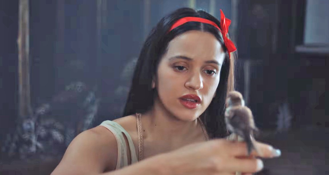 Hector Palmar tweet media