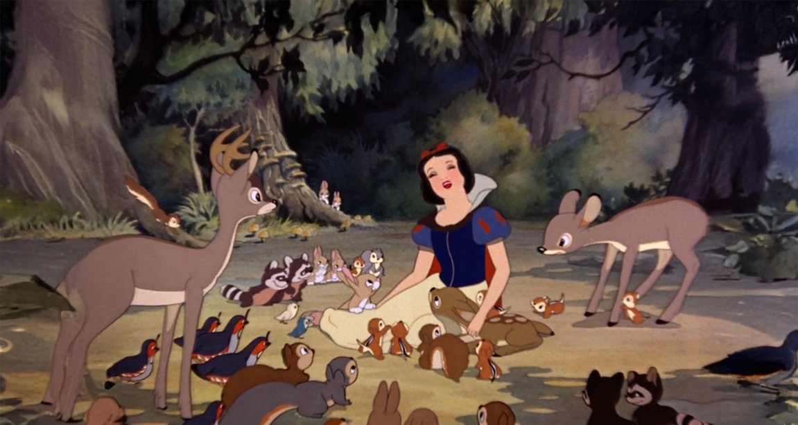 Hector Palmar tweet media