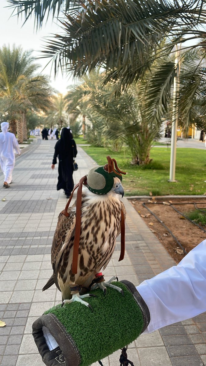 7h00d's tweet image. عشوائيات سوقق السييح 😂❣️.