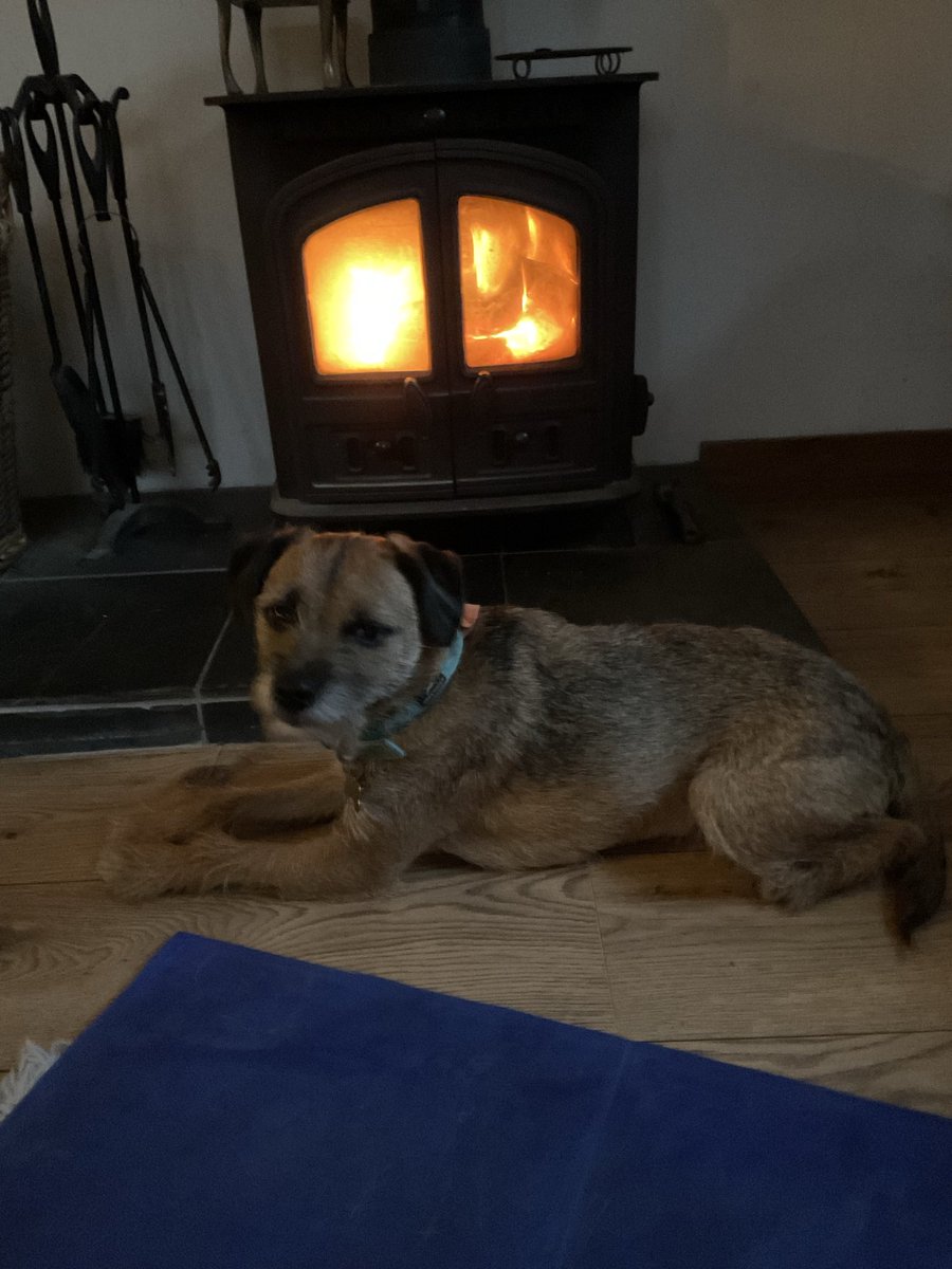 HeatherAttfield's tweet photo. @DuncanPickles Too cold to play out with ballie. https://t.co/tZ0kamS6R0