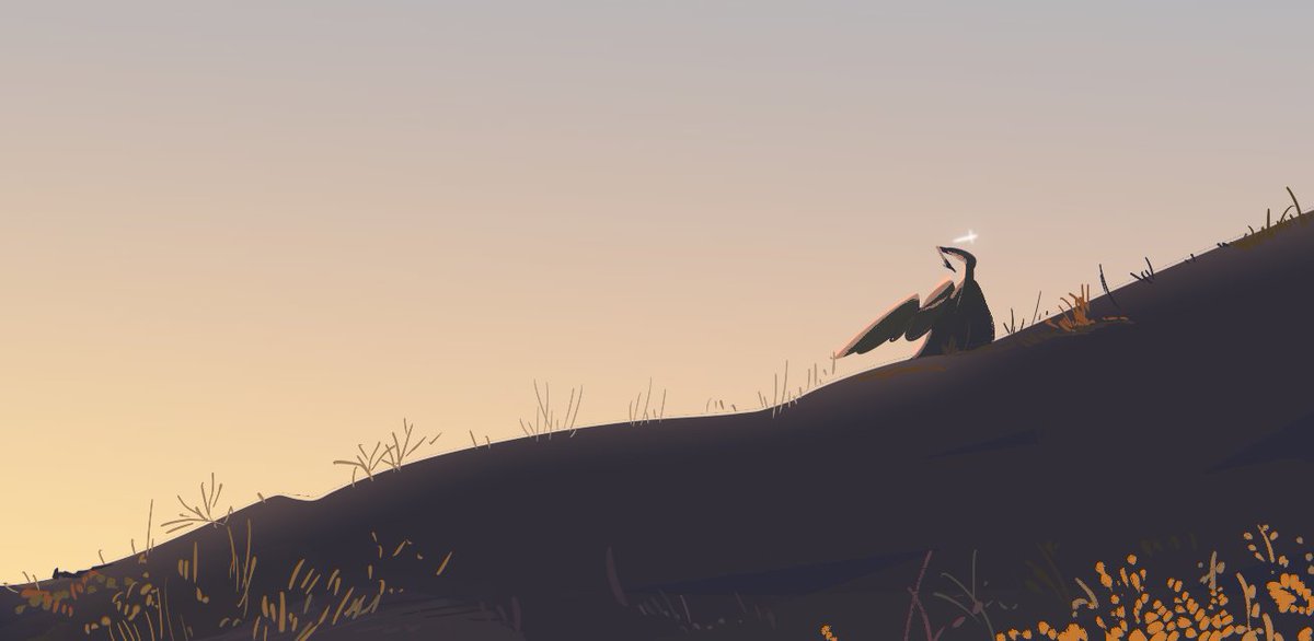 고구마 tweet media