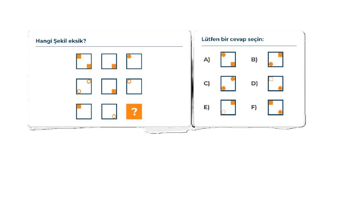 ya şunu çözün yoksa kafayı yiycem