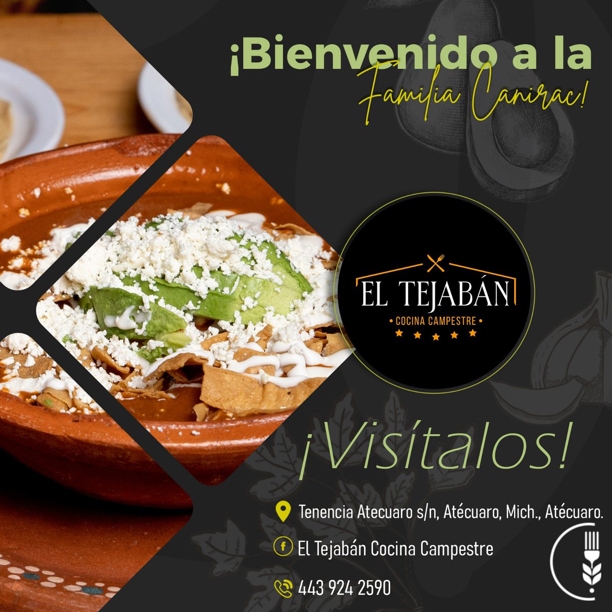 CANIRAC Michoacán tweet media