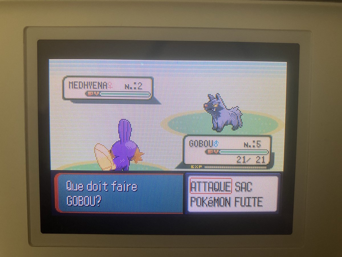 MMidare's tweet photo. Shiny Mudkip after 6733 resets ! My first ever shiny in gen3 ! https://t.co/Ygi3ZHf0ai