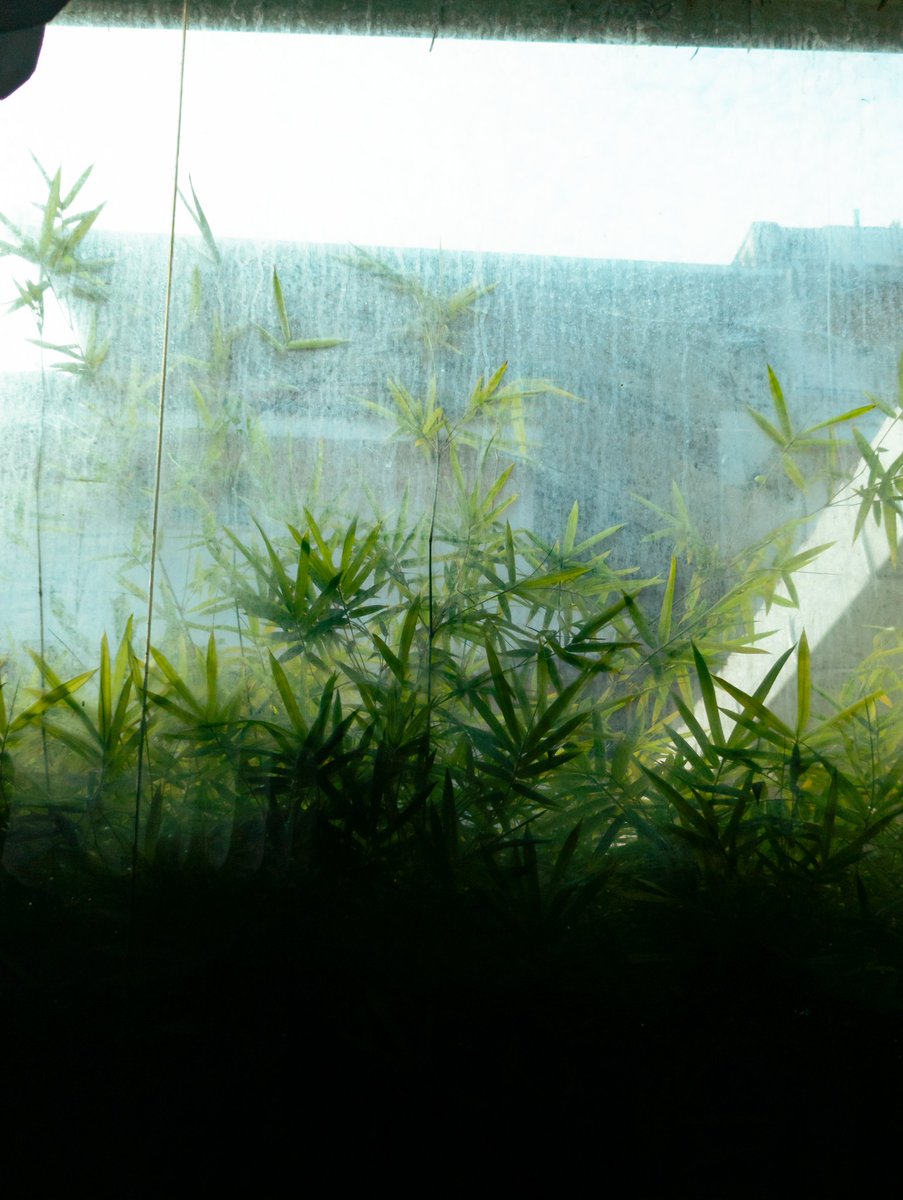 RohithTRamesh's tweet image. Random Shots 

Shot on Pixel
#teampixel