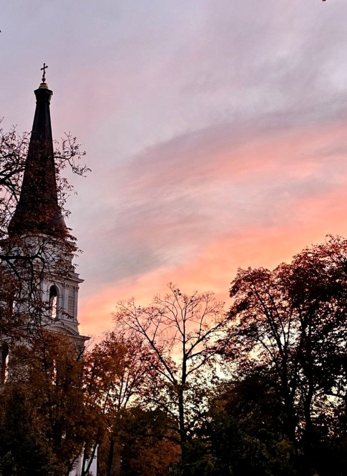 Катерина Галич tweet media