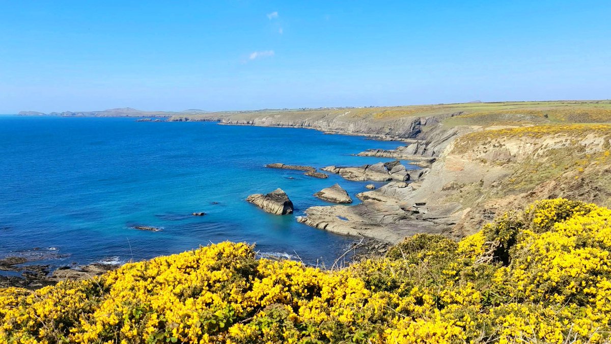 cbarterdavies's tweet photo. @mary2006602 Further to your lovely reply Mary I can share possibly my favourite scene a few miles down the coast ππΎπ I know Japan π―π΅ is a very beautiful country β€οΈ and I would very much like to visit there sometime βοΈ π―π #MyPhotoEdited #WarmFilter πΈ https://t.co/kr2kxek7j6