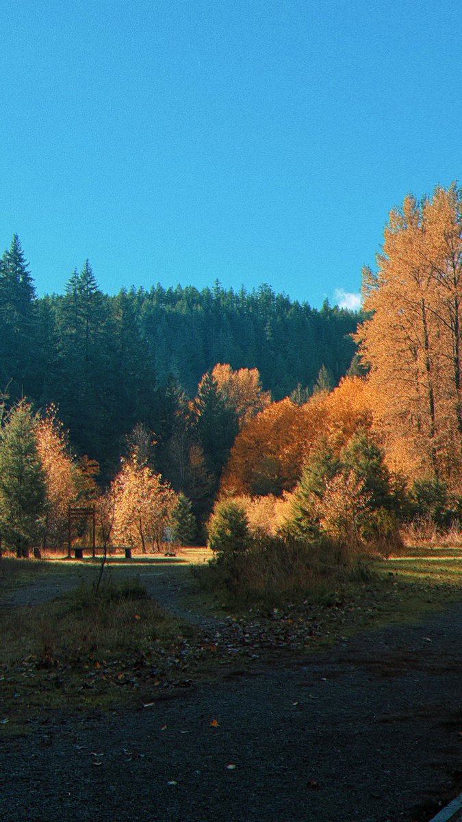 ZurjjMedia's tweet image. Took a week off.
#iphone16Pro