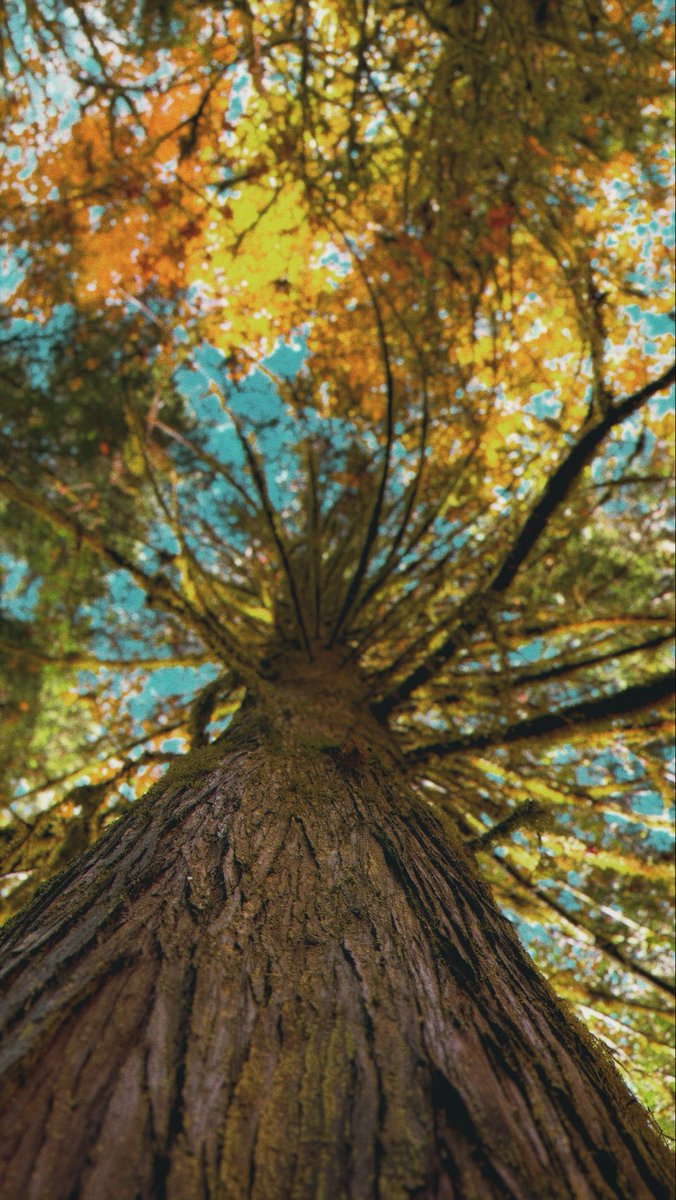 ZurjjMedia's tweet image. Took a week off.
#iphone16Pro